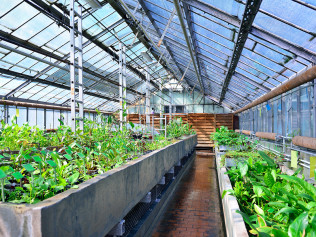 greenhouse and garden center